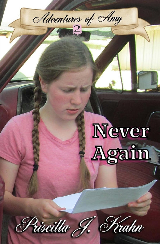 Never Again (Adventures of Amy)