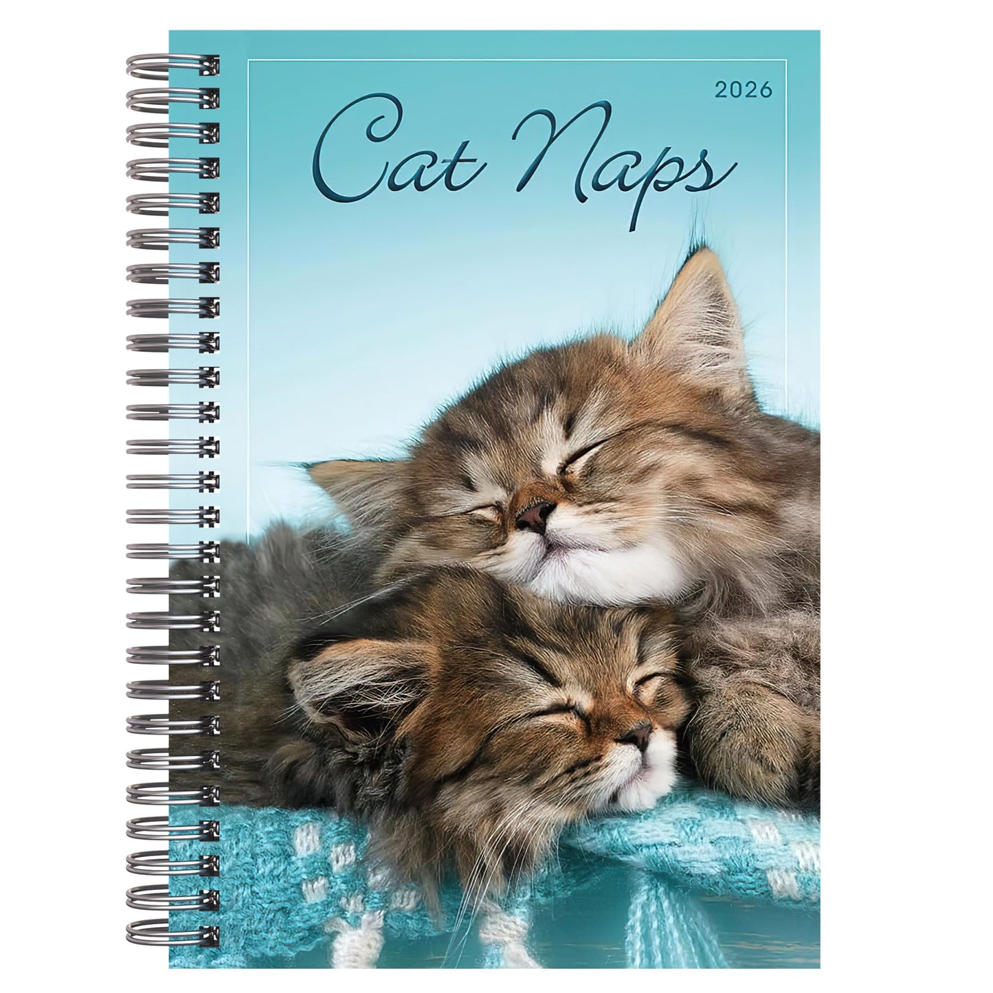 Cat Naps 2026 Weekly & Monthly Planner, 12-Month Engagement Calendar: 2026