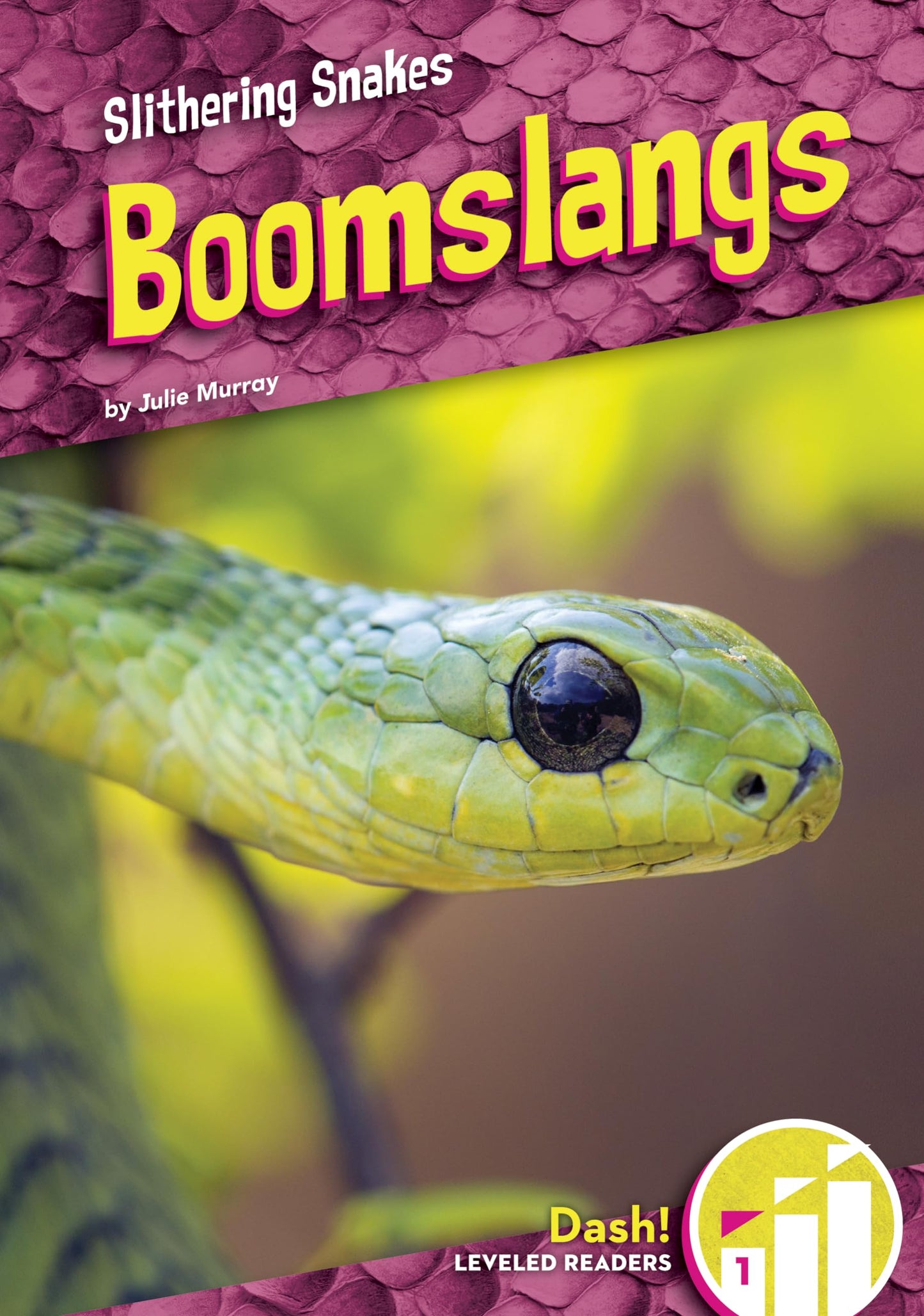 Boomslangs (Slithering Snakes: Dash! Leveled Readers, Level 1)