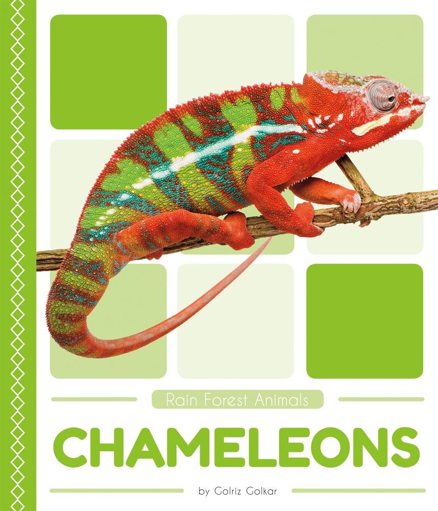 Chameleons: Includes QR Codes (Rain Forest Animals)