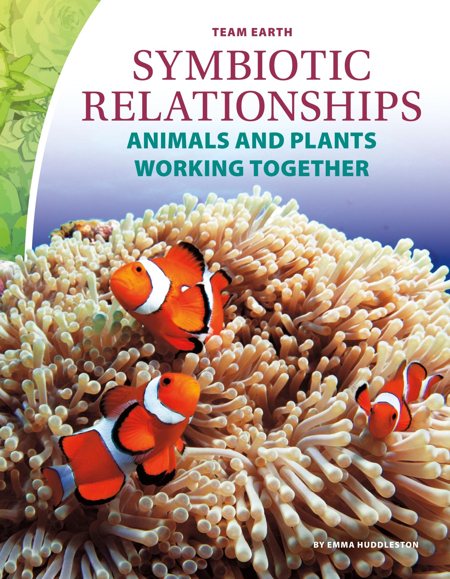 Symbiotic Relationships: Animals and Plants Working Together: Animals and Plants Working Together (Team Earth)