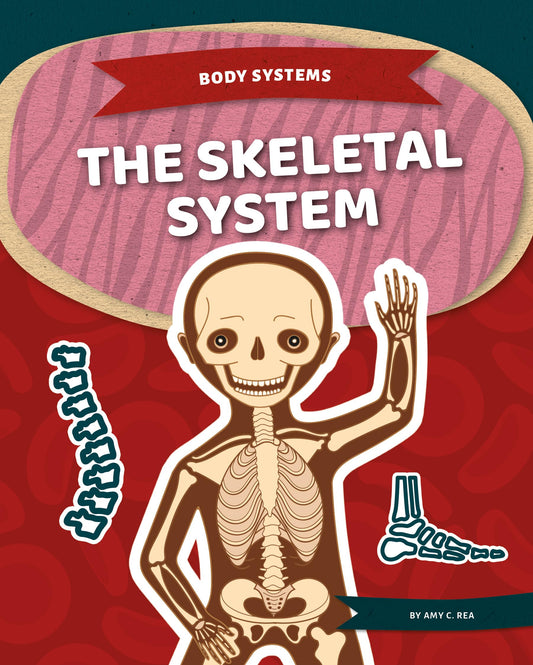 Skeletal System (Body Systems)