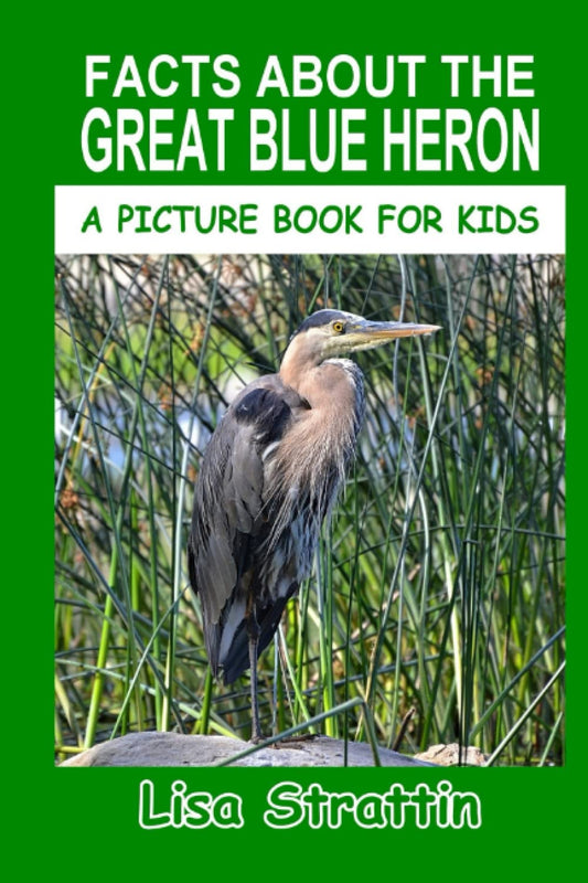 Facts About The Great Blue Heron (A Picture Book For Kids) - 2149
