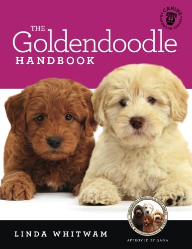 The Goldendoodle Handbook: The Essential Guide For New & Prospective Goldendoodle Owners (Canine Handbooks) - 1322
