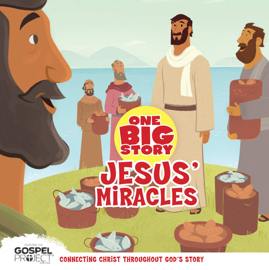 Jesus' Miracles, One Big Story Board Book - 817