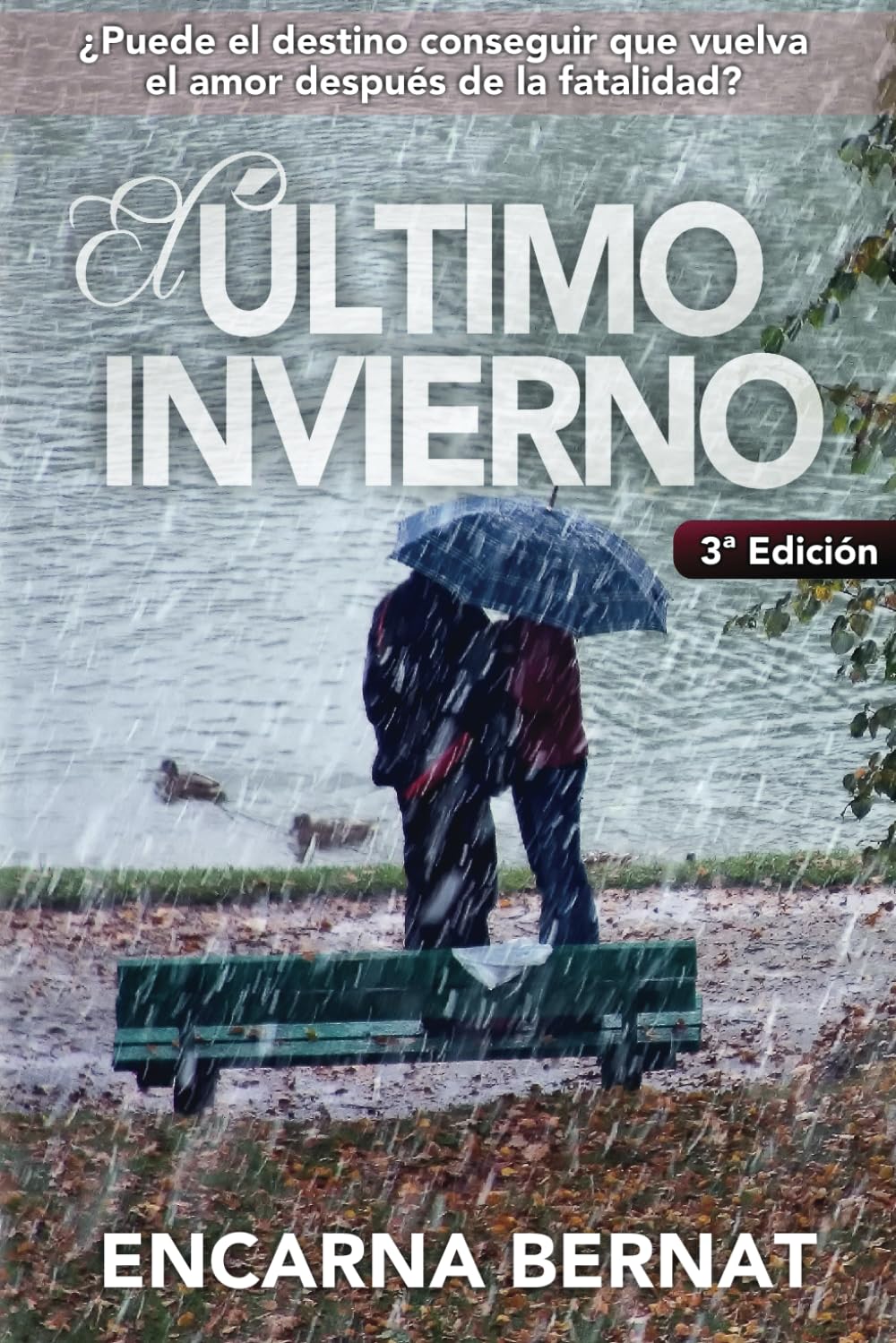 El último invierno: Una historia de amor y superación marcada por la tragedia. (Novela romántica novedades). (Spanish Edition) - 2796