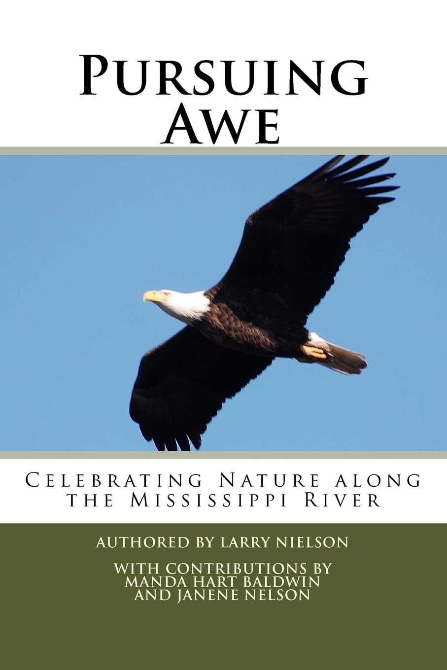 Pursuing Awe: Celebrating Nature along the Mississippi River
