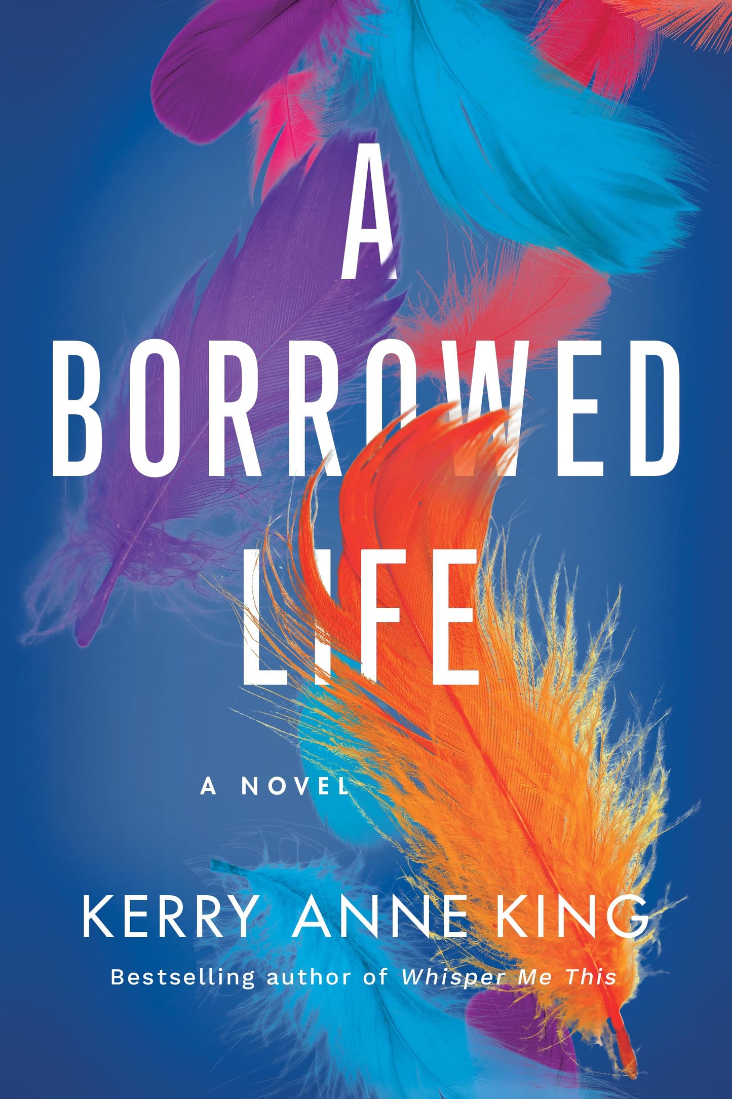 A Borrowed Life: A Novel - 8994