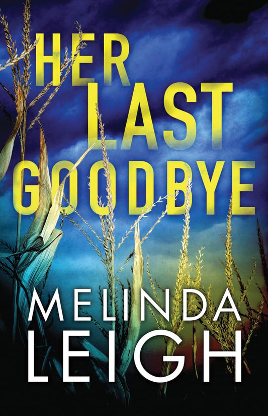 Her Last Goodbye (Morgan Dane) - 3793