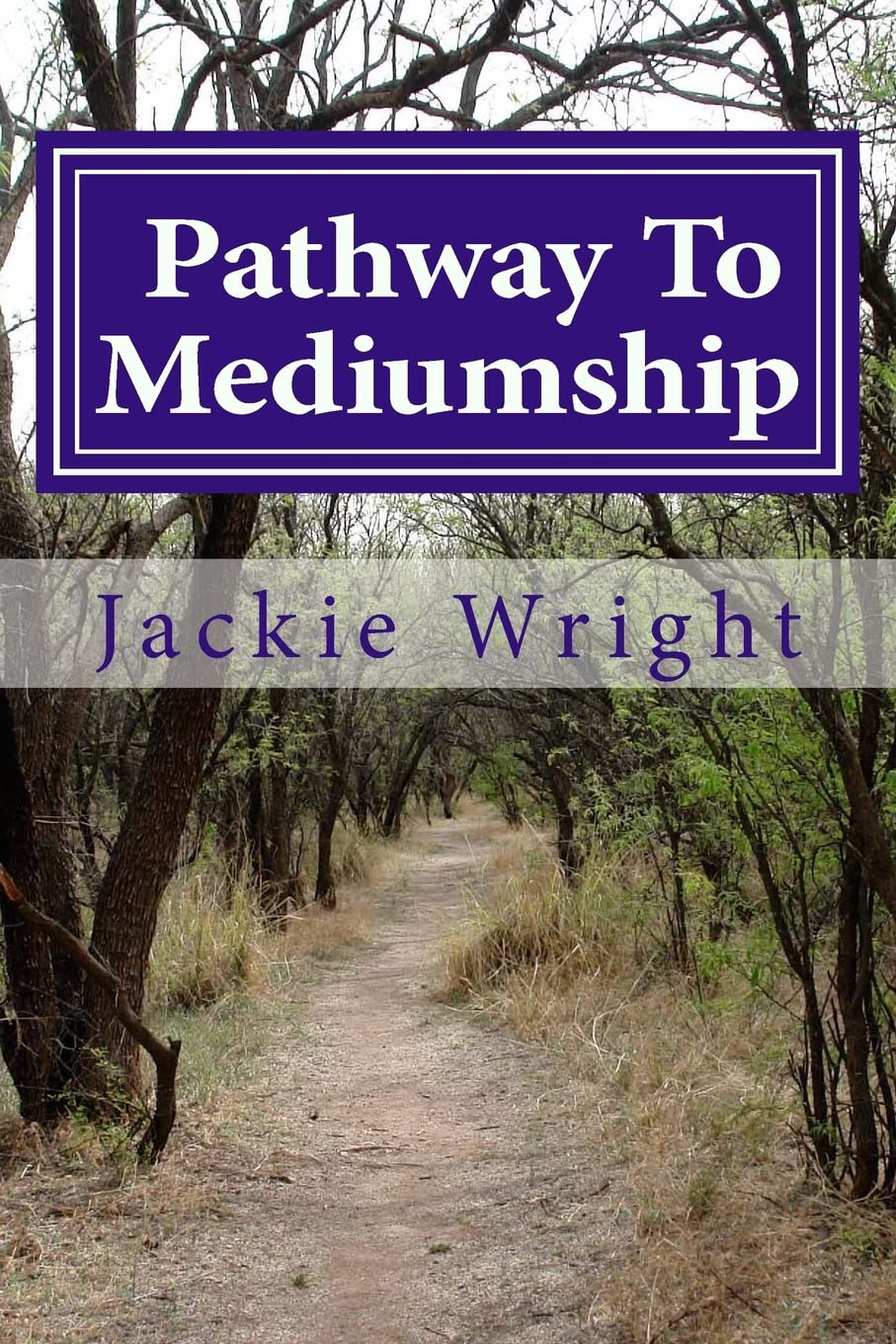 Pathway To Mediumship: a journey into mediumship with exercises - 4541