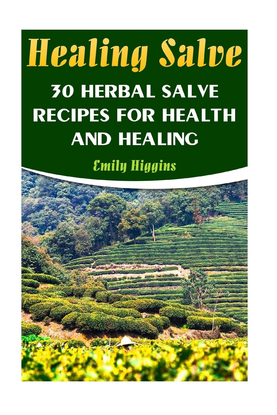 Healing Salve: 30 Herbal Salve Recipes For Health And Healing - 8986