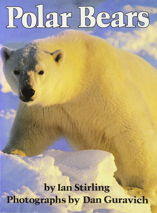 Polar Bears