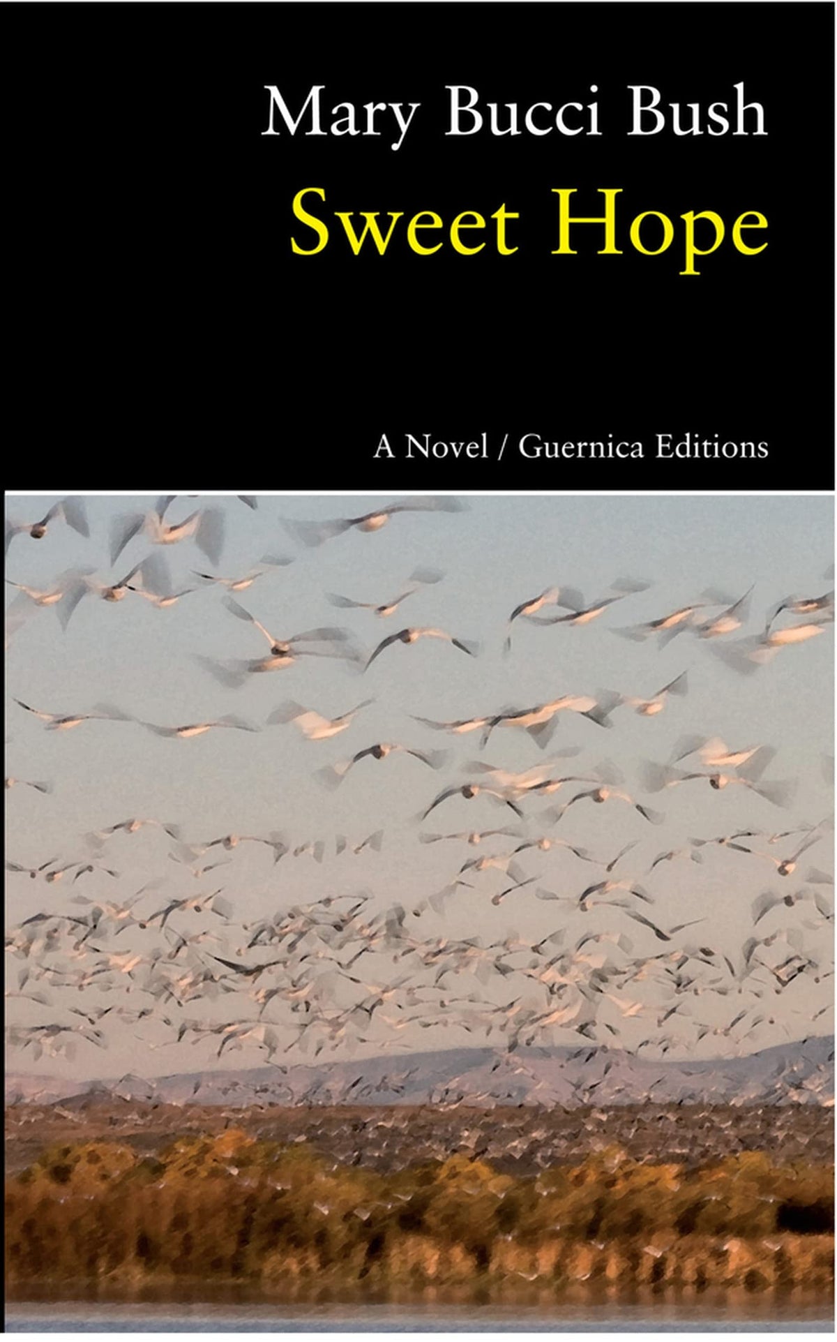 Sweet Hope (91) (Prose series)