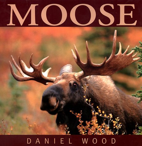 Moose