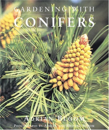Gardening with Conifers - 6593