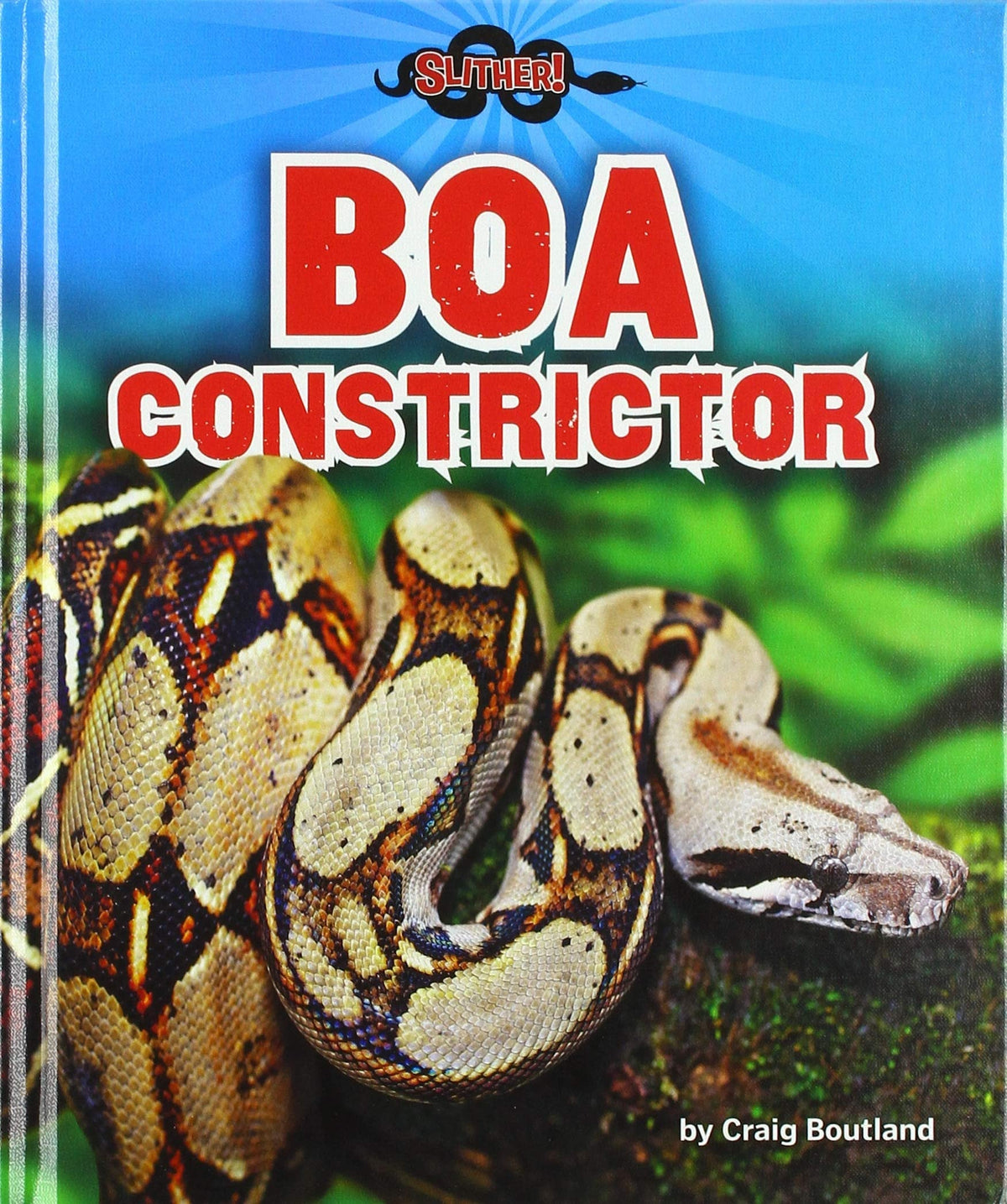 Boa Constrictor