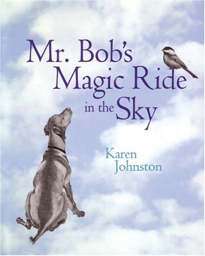 Mr. Bob's Magic Ride in the Sky