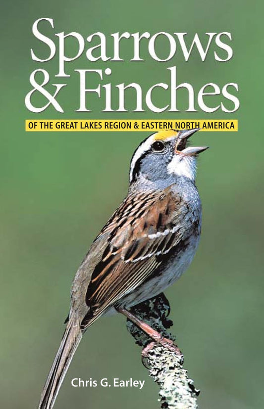 Sparrows and Finches of the Great Lakes Region and Eastern North America - 4747
