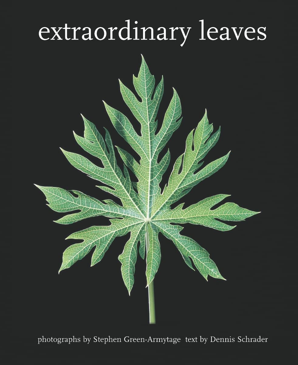 Extraordinary Leaves