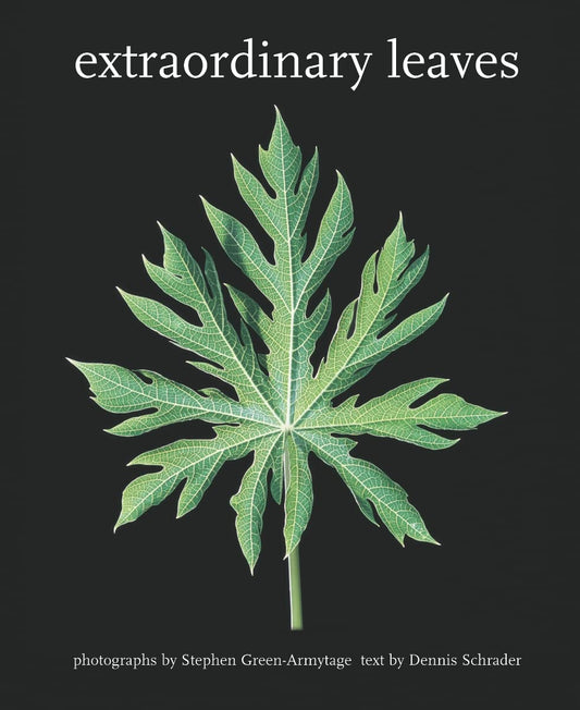 Extraordinary Leaves