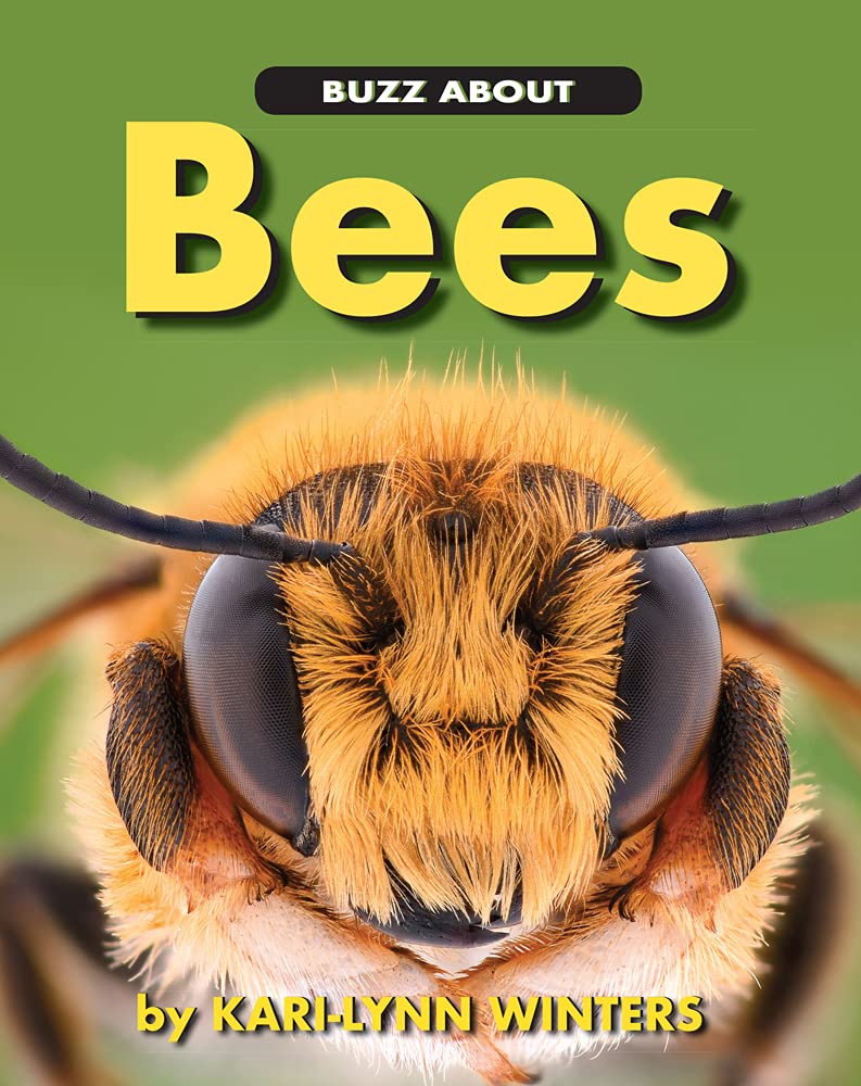 Buzz About Bees (Up Close With Animals)