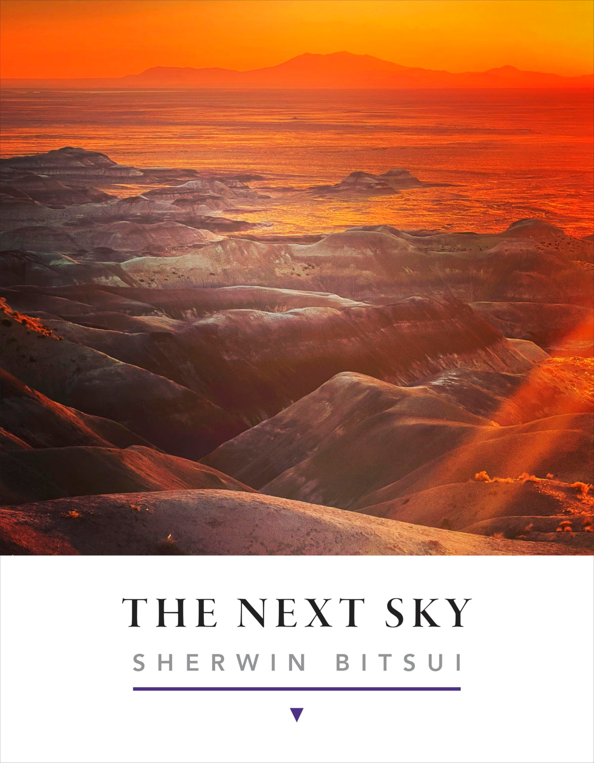 The Next Sky