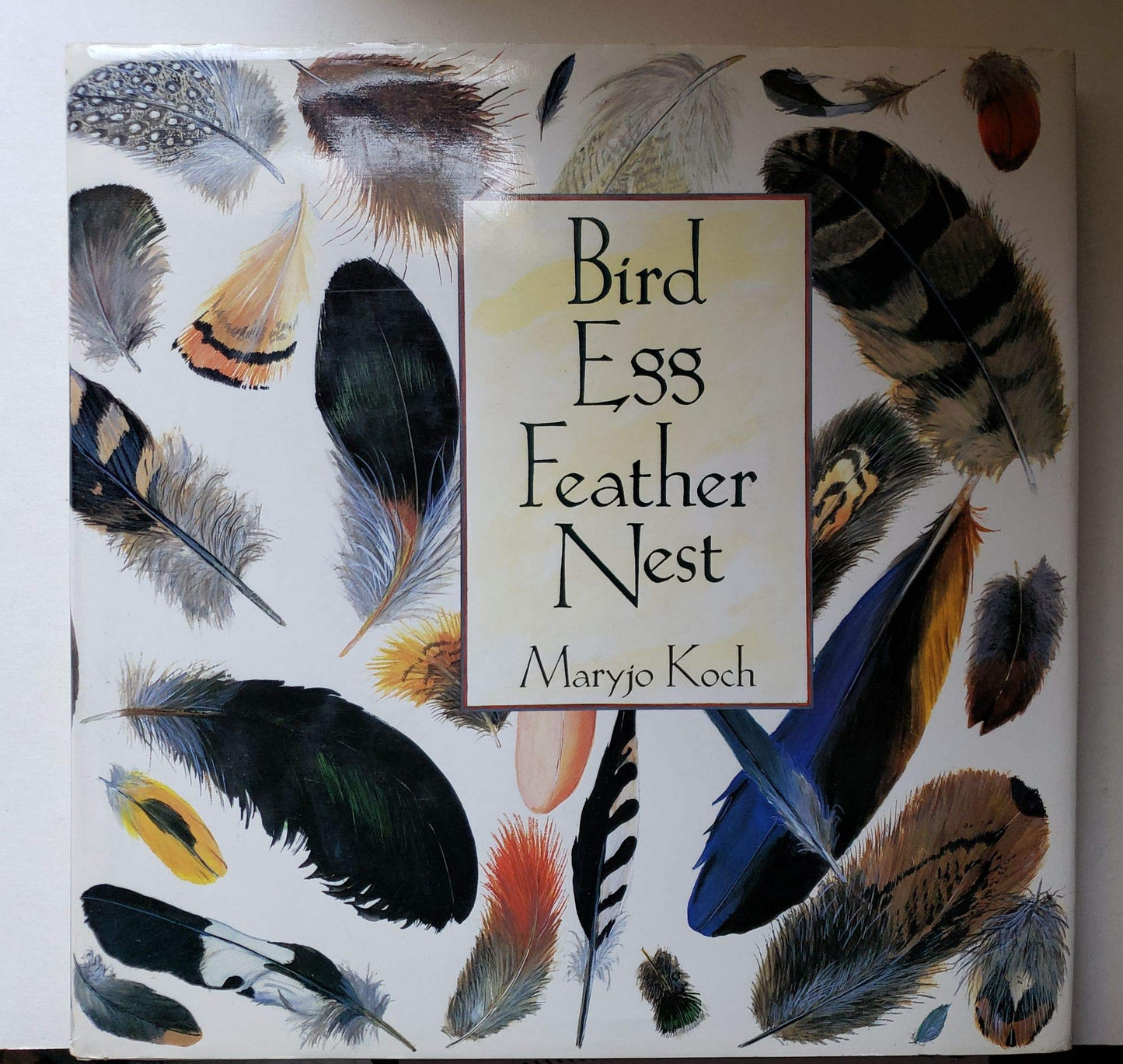 BIRD EGG FEATHER NEST