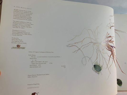 The Nest: An Artist's Sketchbook - 4453