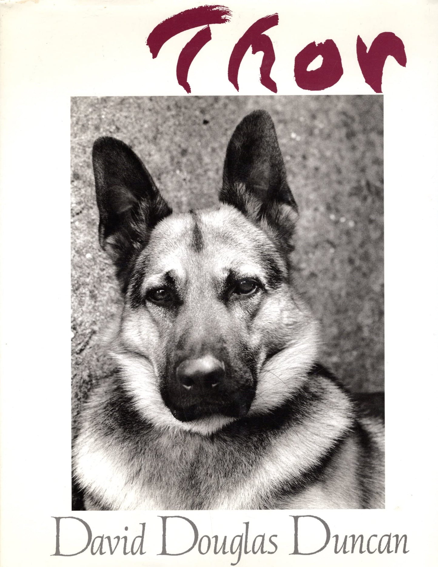 Thor