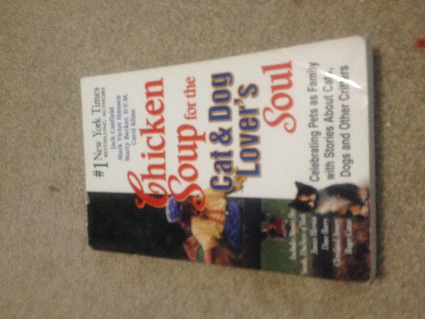 Chicken Soup for the Cat & Dog Lover's Soul: Celebrating Pets as Family with Stories About Cats, Dogs and Other Critters