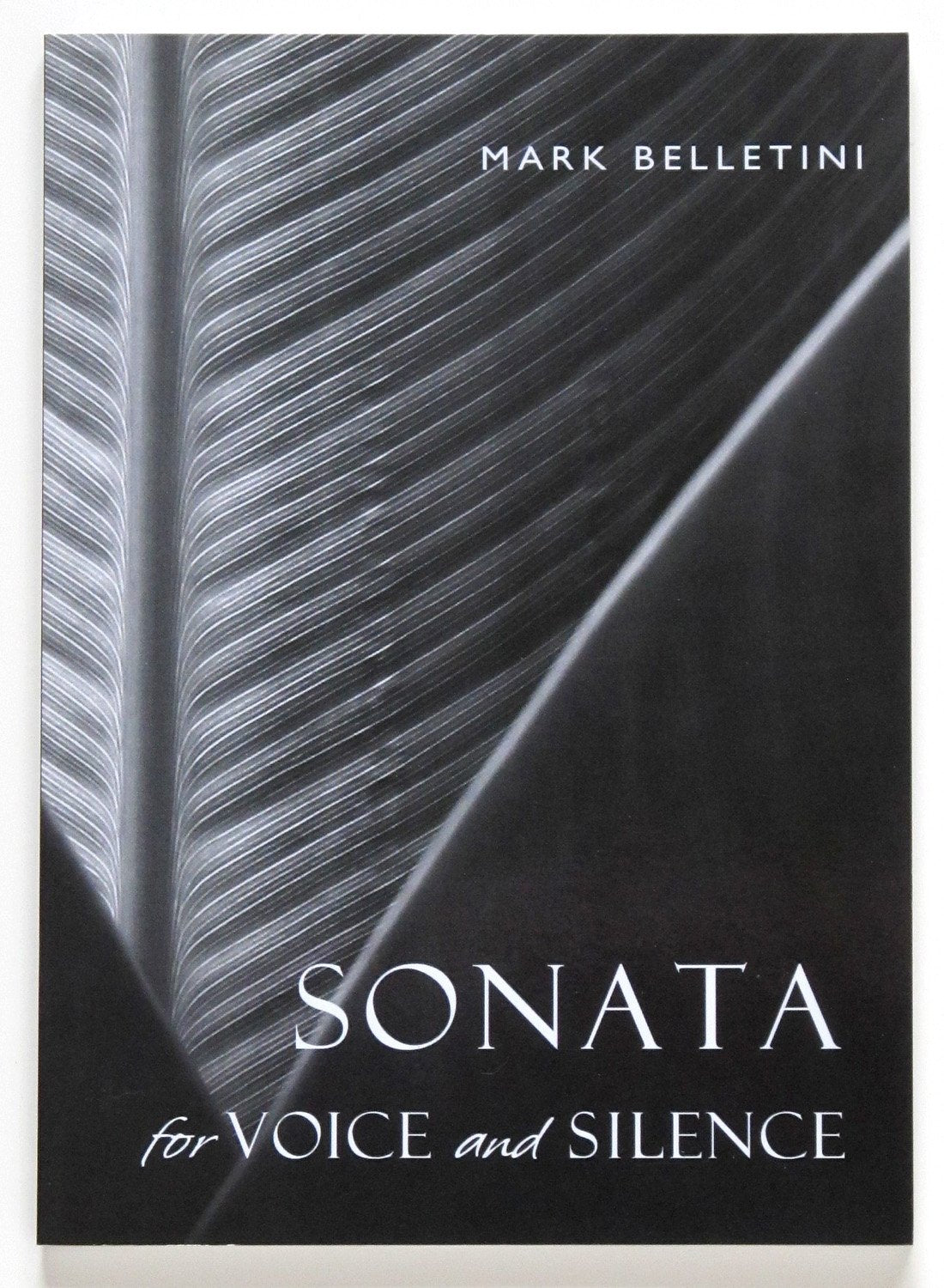 Sonata for Voice and Silence: Meditations