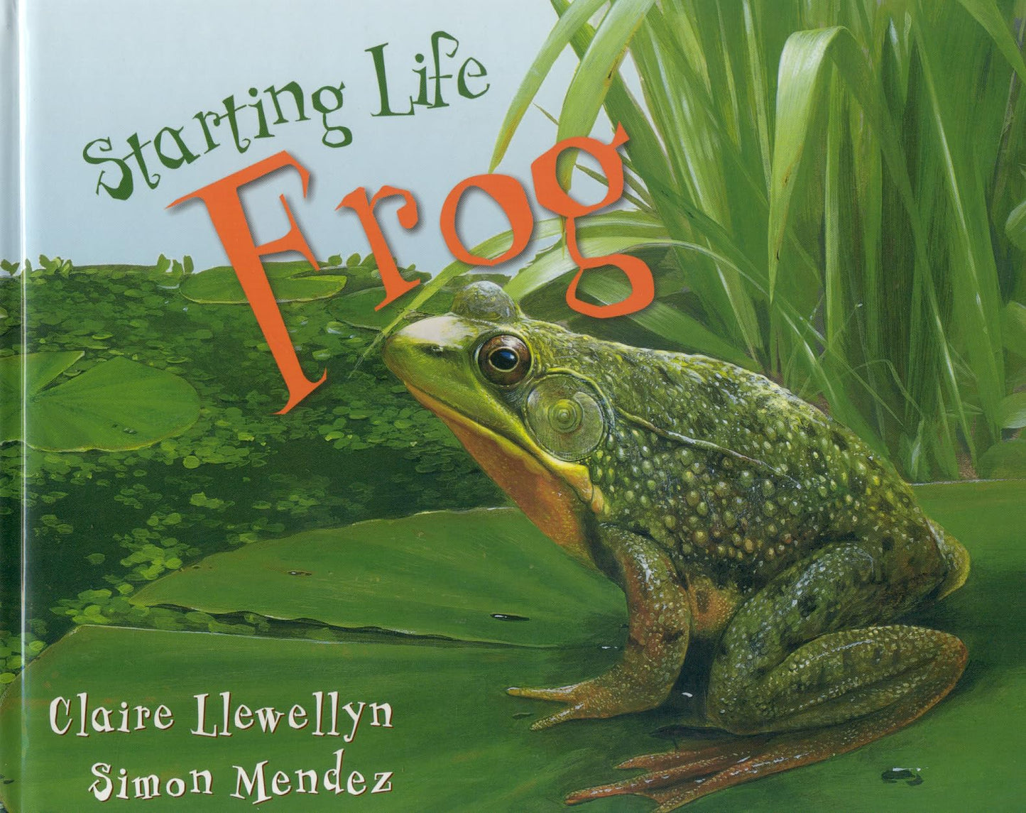 Starting Life: Frogs - 3232