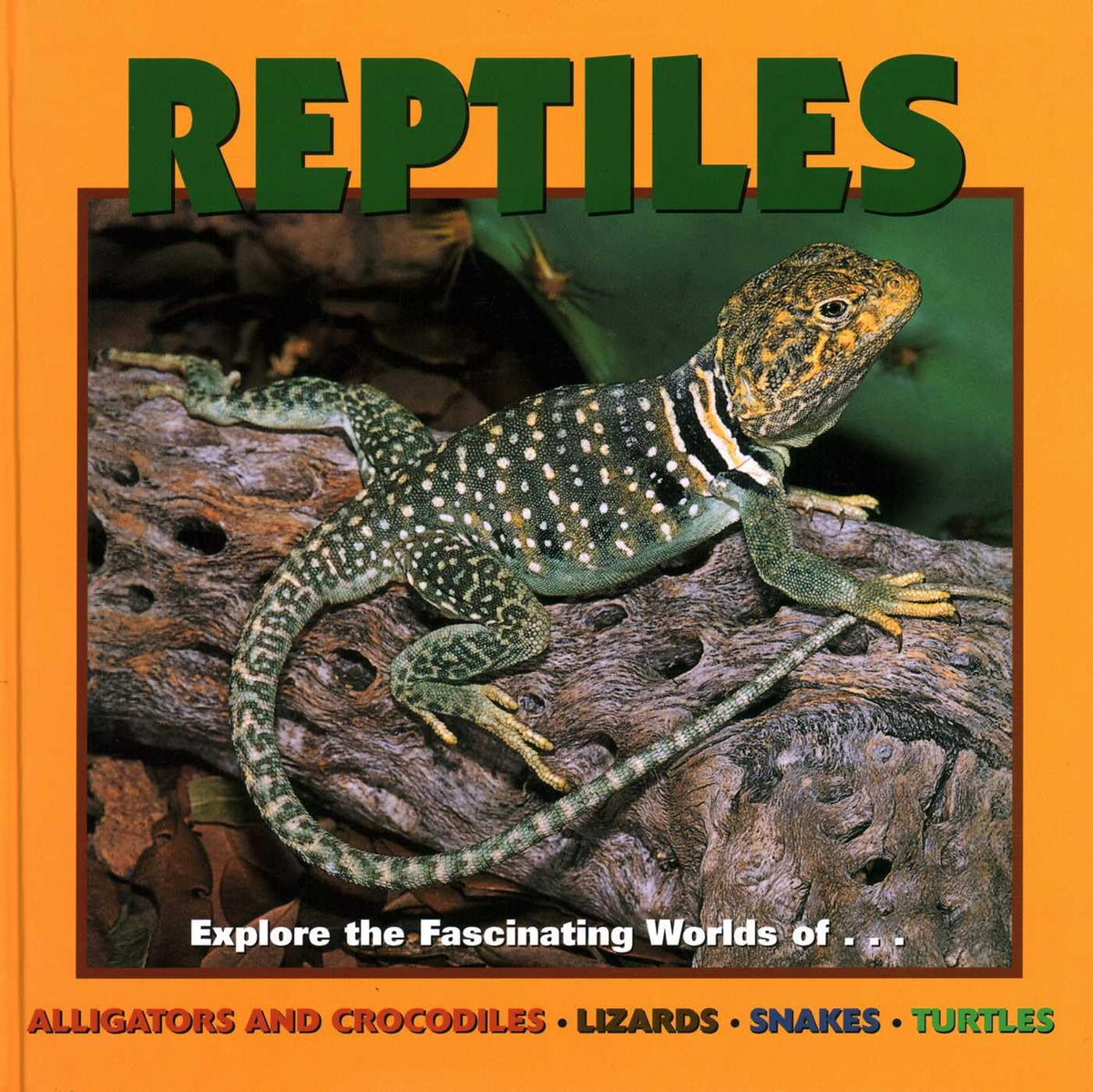 Reptiles (Our Wild World)