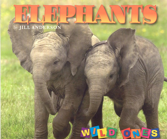 Elephants (Wild Ones) - 8551