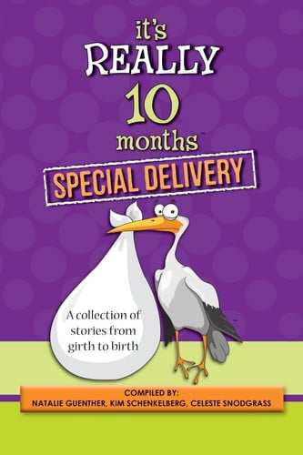 It's Really 10 Months Special Delivery A Collection of Stories from Girth to Birth