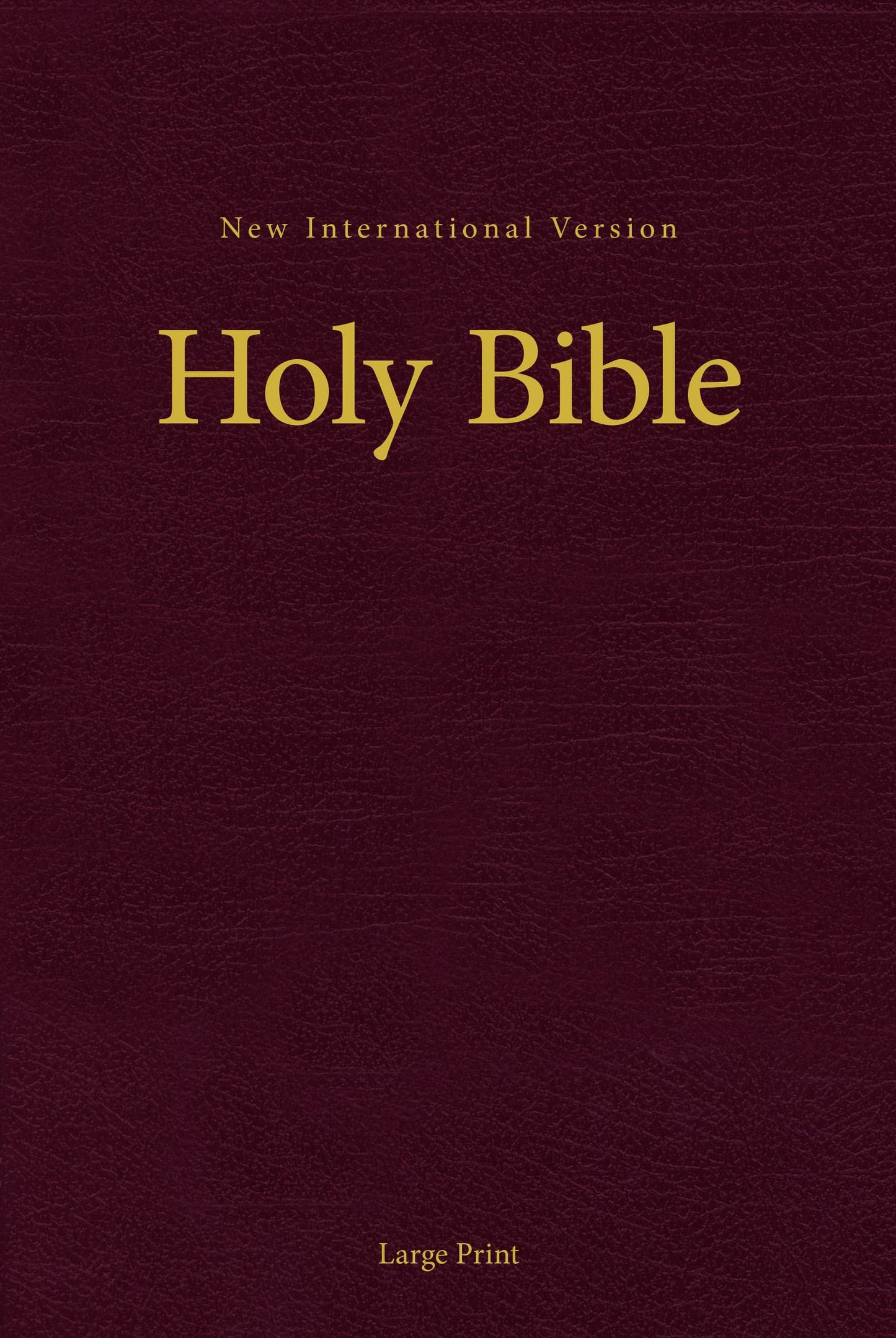 NIV, Holy Bible, Large Print, Burgundy - 1679