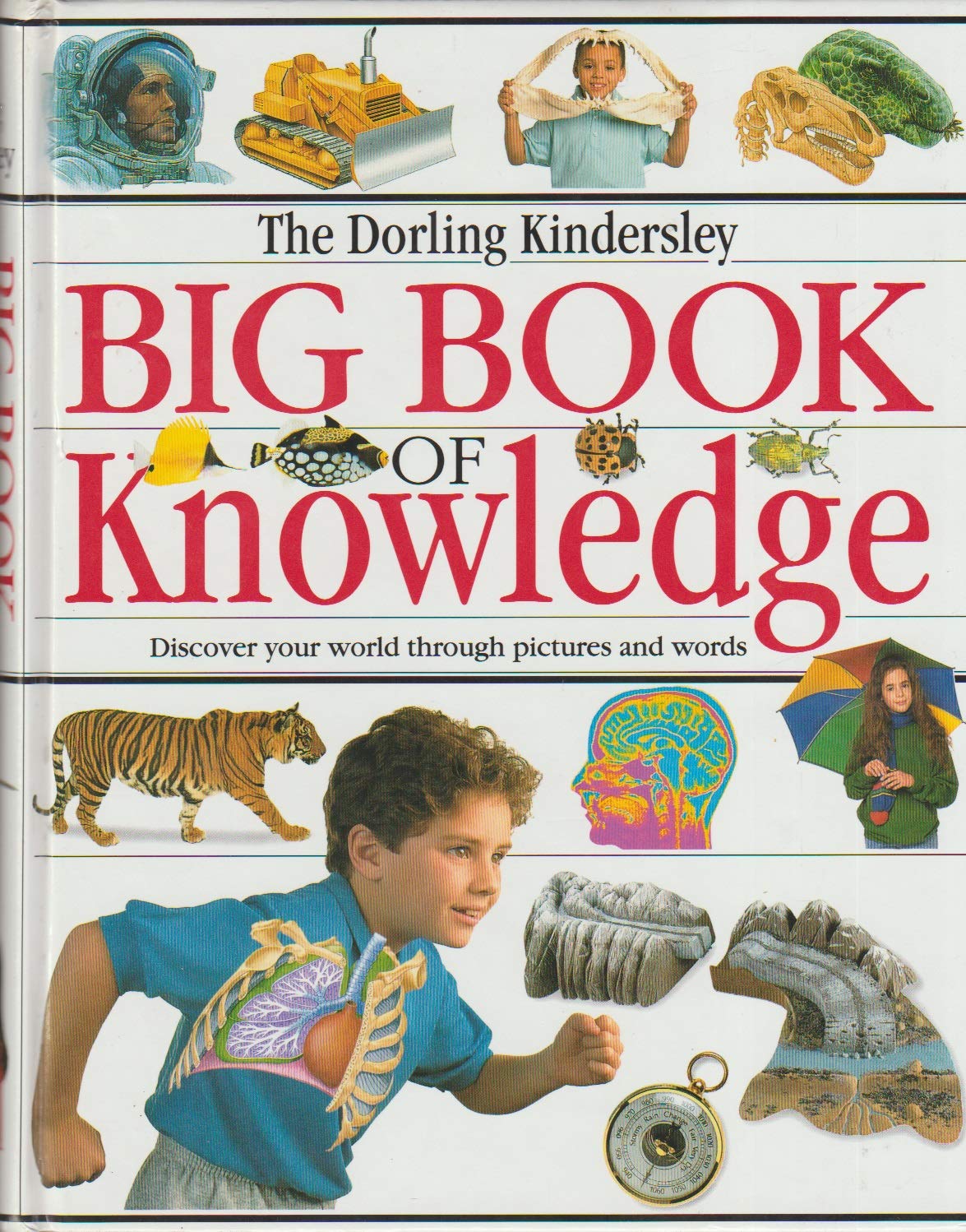 The Big Book of Knowledge