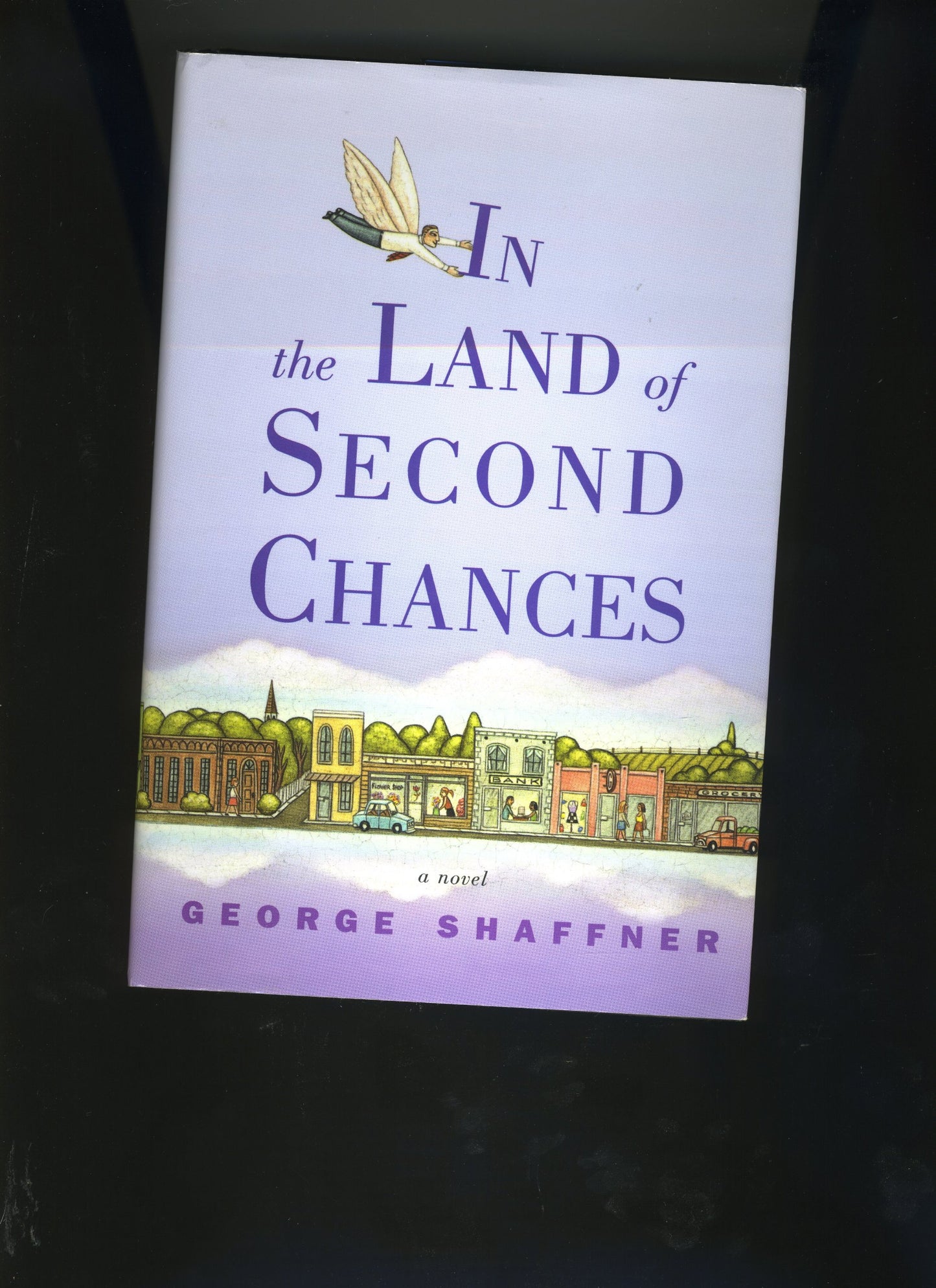 In the Land of Second Chances - 2539