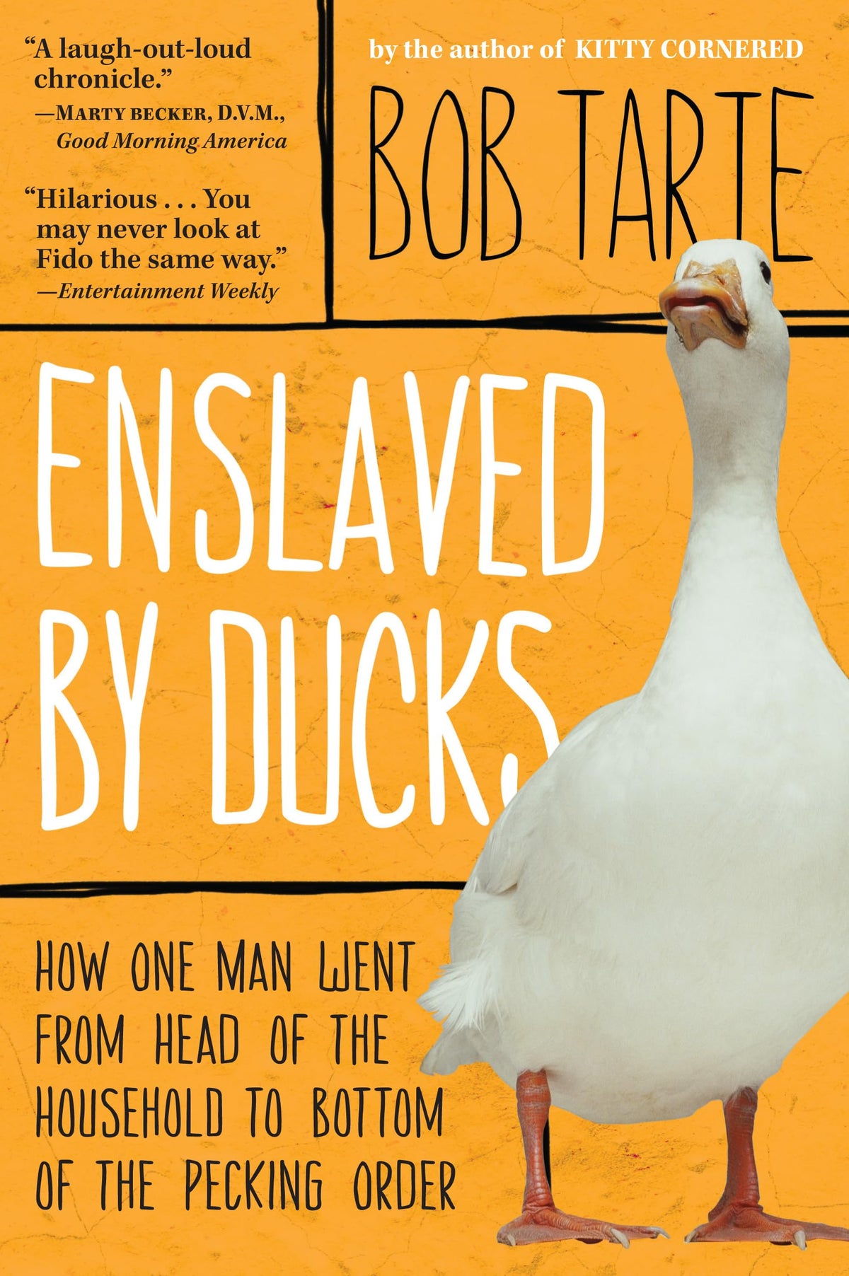Enslaved by Ducks