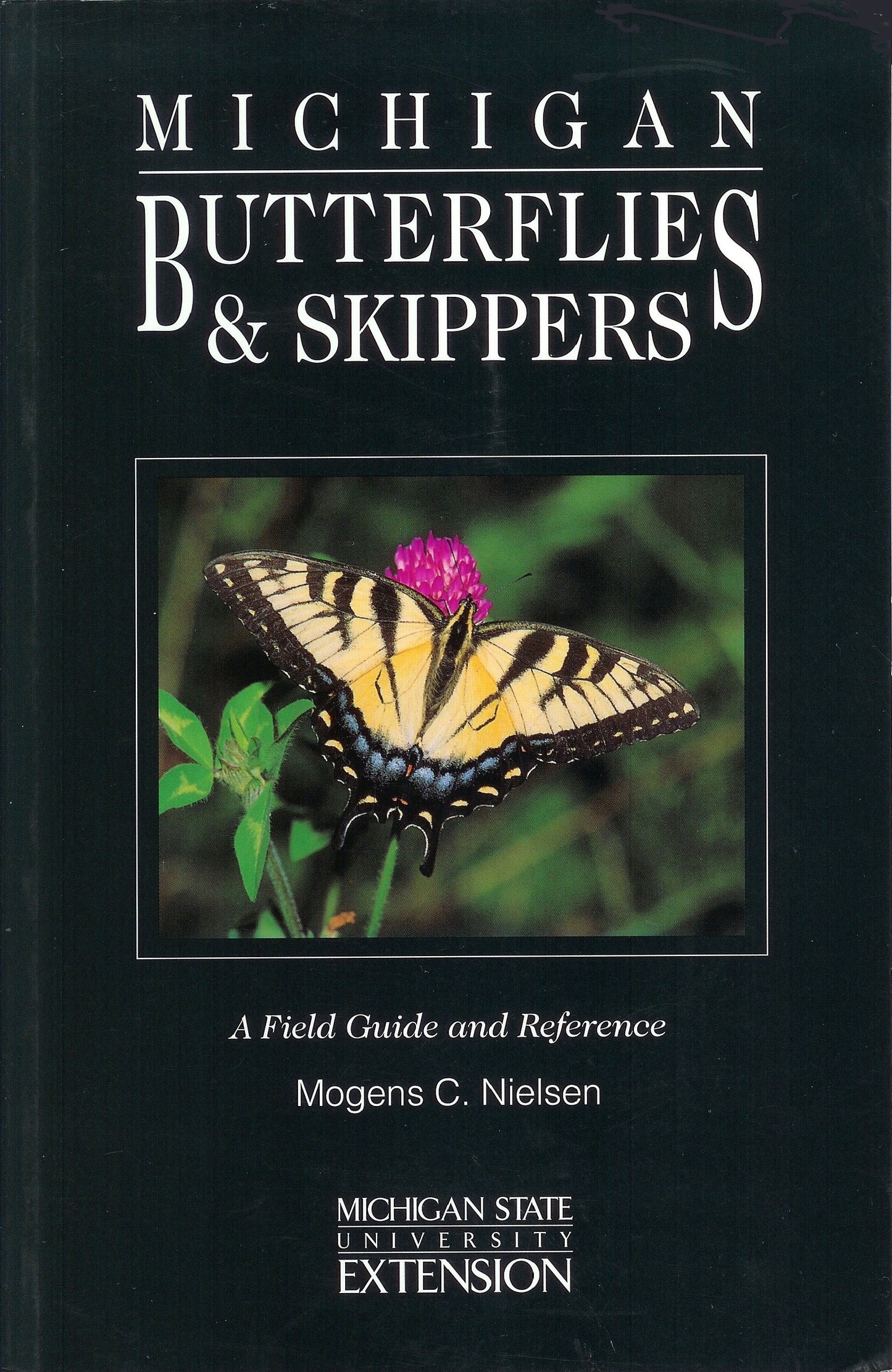 Michigan Butterflies and Skippers: A Field Guide and Reference - 8025