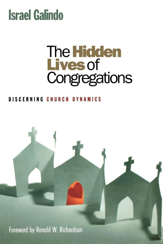 The Hidden Lives of Congregations: Discerning Church Dynamics - 8586