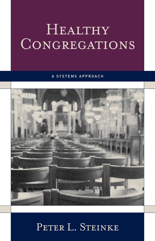 Healthy Congregations: A Systems Approach - 8600