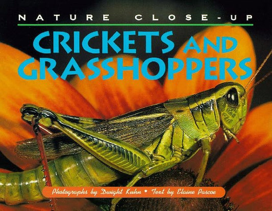 Nature Close-Up - Crickets and Grasshoppers - 9393