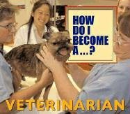 How Do I Become A...? - Veterinarian