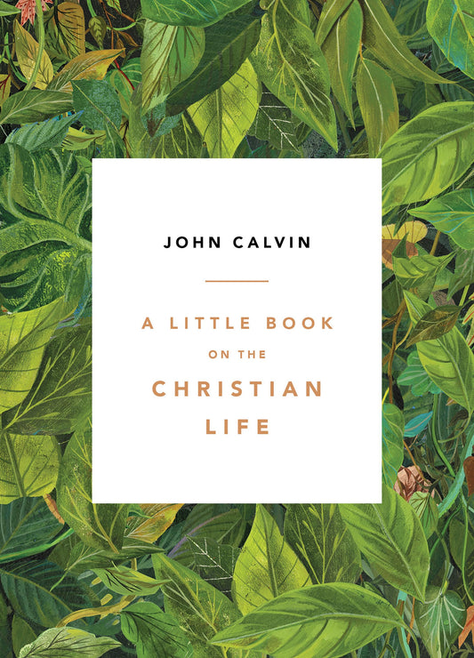 A Little Book on the Christian Life, Leaves - 5001