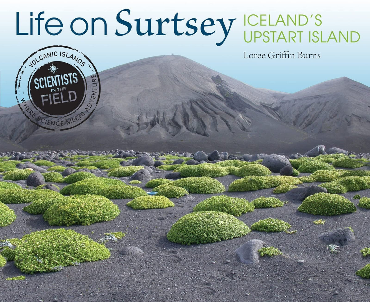 Life on Surtsey Iceland's Upstart Island