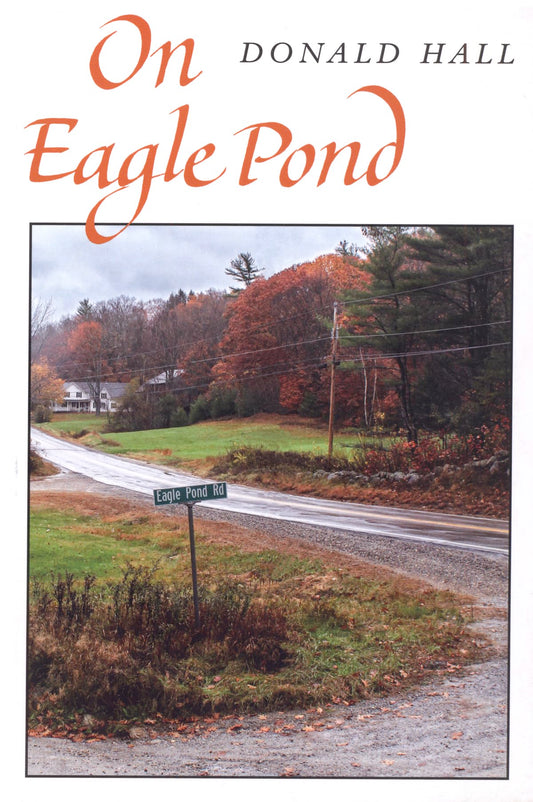 On Eagle Pond