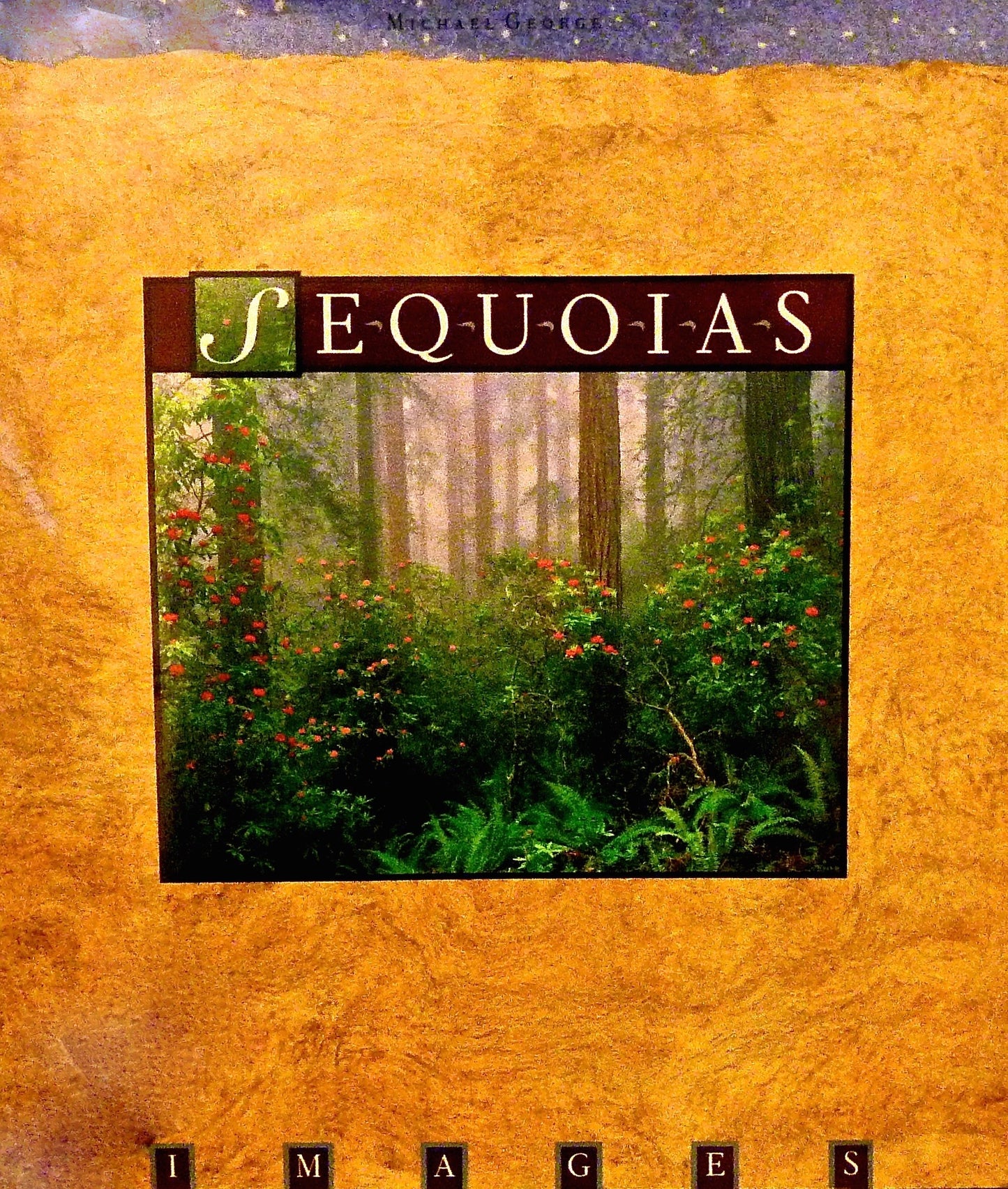 Sequoias (Images)