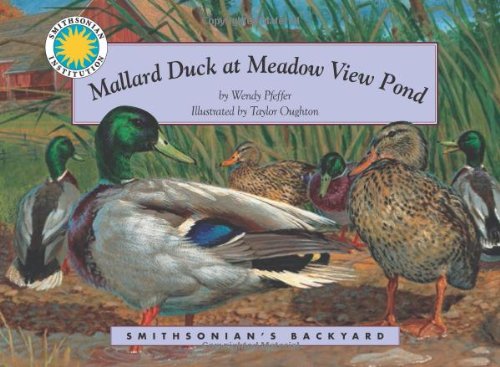 Mallard Duck at Meadow View Pond (Smithsonian's Backyard)