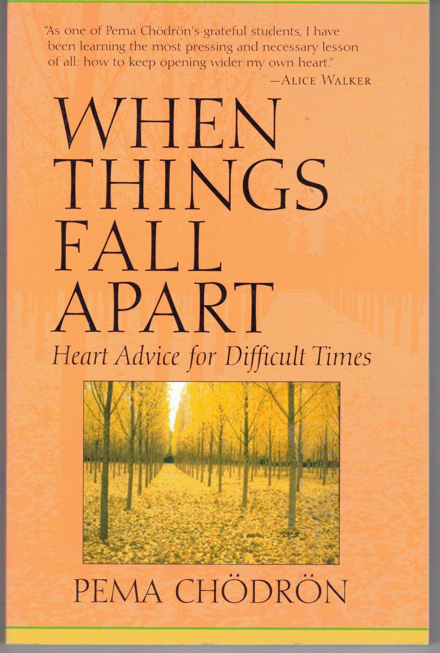 When Things Fall Apart: Heart Advice for Difficult Times - 5138